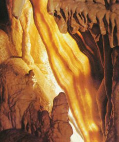  Grottes d’Isturitz, tranche de lard / Association Francis Jammes Orthez